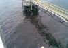 Limbah PT IBT Kalsel cemari Teluk Tamiang
