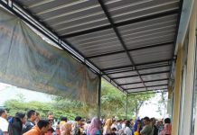 Banyak Pemohon Untuk Pengurusan KK, KIA, KTP Untuk Online Maupun Reguler