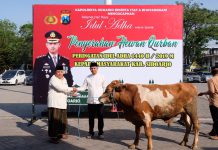 Polresta Sidoarjo Salurkan Qurban 17 Ekor Sapi dan 68 Ekor Kambing Untuk Masyarakat