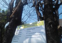 Diduga Proyek Plengsengan Dari Dinas PU Bina Marga Tidak Sesuai speck