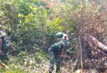 Satgas Pamtas RI-PNG Yonif 411 Kostrad Bersama Masyarakat Yakyu Buka Jalan Baru Menuju Perbatasan