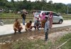 Camat Sawang, Masriadi SSTP MSi Lakukan Monev (Monitoring , Evaluasi) ke Gampong