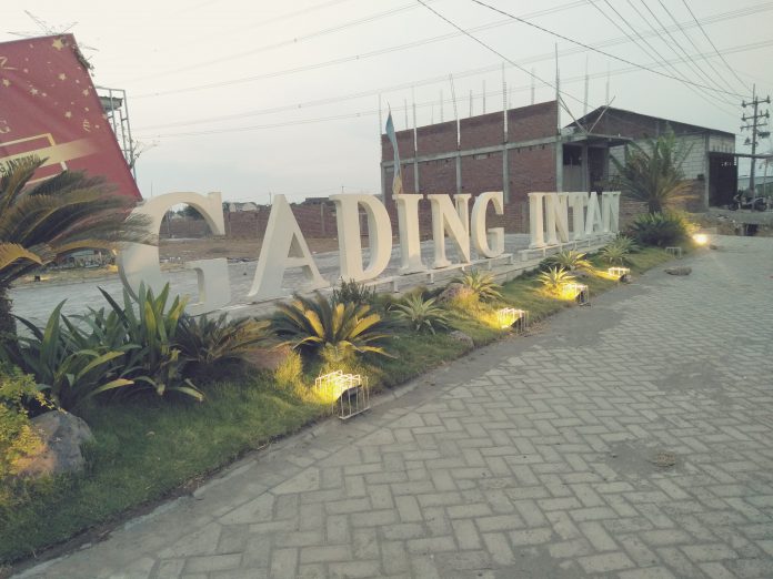 IMG20191009172711