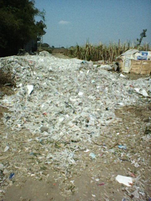 Photo0174