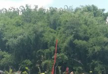 Jemput Anak Habis Renang Dipungut Biaya Masuk Juga