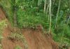 Tebing Setinggi 90 Meter Longsor Di Blitar, Jawa Timur
