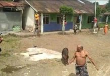 Di Seruduk Babi Hutan, Warga Pemalang Tersungkur