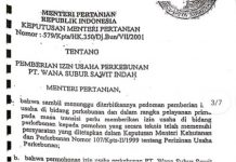 Langgar Aturan Kementan, Dirjen Perkebunan Harus Cabut Izin PT WSSI