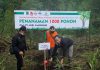 Konstribusi Nyata, Empat Perusahaan Kabupaten Pasuruan Tanam Ribuan Pohon di Kawasan Gunung Ringgit