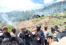 Polri Musnahkan 7 Hektare Ladang Ganja Di Gunung Lauser Dan Sita 592 Kg Ganja Kering