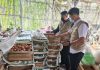 Satgas Pangan Polres Malang Datangi Kandang Ayam Petelur, ini yang dilakukan