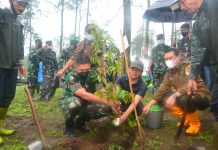 Pangdivif 2 Kostrad Ikut Serta Dalam Mewujudkan Aksi Indonesia Hijau