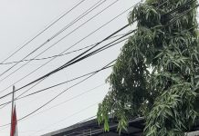 Jual Tanah Negara, Kades Gadung Akan Dilaporkan Ke Kejari Gresik