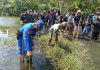 Aksi Satpolairud Polres Malang Tanam Mangrove Bersama Mahasiswa UB