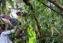 Diduga Depresi, Seorang Kakek Ditemukan Tewas Gantung Diri di Pohon Waru