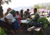 Hasil Kebun Berkualitas Di Daerah Penugasan Lanny Jaya Papua, Ini Yang Dilakukan Satgas TNI 412 Kostrad