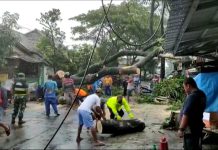 Polres Malang Bersama Warga Bersihkan Pohon Tumbang di Sepanjang Jalan Penarukan Kepanjen
