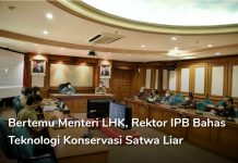 Demi Menjaga Kelestarian Satwa Dari Kepunahan, IPB University Aplikasikan ART Dan Bio-Bank