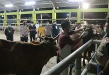 Antisipasi Wabah PMK , Kapolresta Sidoarjo Cek RPH Di Kecamatan Krian