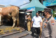Antisipasi Penyebaran Virus PMK, Kapolres Pasuruan Pantau Pos Penyekatan Di Prigen