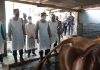 Kapolresta Sidoarjo Cek Suntikan Vaksin dan Vitamin pada Sapi