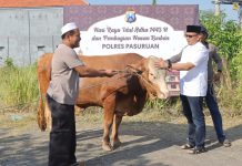 Peringati Hari Raya Idul Adha 1443 H, Polres Pasuruan Lakukan Penyerahan Sekaligus Pemotongan Hewan Kurban