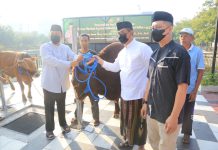 Rayakan Idul Adha 1443 H Polda Jatim Gelar Shalat Ied dan Salurkan Hewan Kurban
