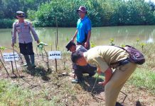 Melalui Penanaman Mangrove, Polres Tulungagung ikut Peringati Hari Mangrove Sedunia