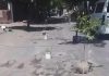 Belum Ada Perbaikan Dari Dinas Terkait, Pelajar SMK Yadika Bangil Tambal Jalan Rusak di Utara Alun-alun Bangil