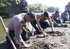 Aksi Peduli Lingkungan, Polres Blitar Tanam Puluhan Ribu Mangrove dan Lepas Tukik ke Pantai