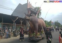 Desa Baujeng Gelar Pawai Karnaval Budaya Meriahkan HUT RI Ke-77 Dan Hari Jadi Kabupaten Pasuruan ke-1093