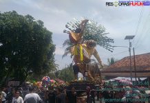 Kemeriahan Karnaval Dan Selamatan Desa Lebakrejo Purwodadi Tahun 2022