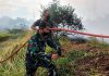 Dengan Sigap, Babinsa Koramil 12/Rembang Padamkan kebakaran Lahan