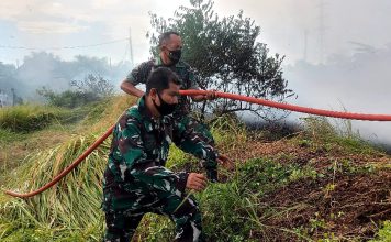 Dengan Sigap, Babinsa Koramil 12/Rembang Padamkan kebakaran Lahan
