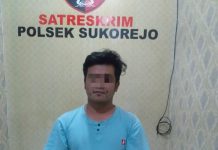 Pelaku Pengedar Ribuan Pil Koplo Dibekuk Unit Reskrim Polsek Sukorejo