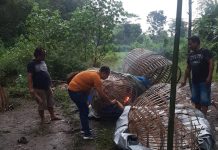 Polisi Grebek Sabung Ayam Di Jombang
