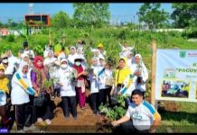 Agar Tetap Sehat Dan Produktif, RSUD Grati Buat Kebun Lansia Sister Peri
