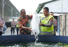 Dukung Ketahanan Pangan, Kapolresta Sidoarjo Tebar 5.000 Benih Ikan Lele
