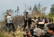 Penanggulangan Karhutla Kapolres Pasuruan Pimpin Pemadaman Api di Area Gunung Welirang