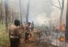 Sinergitas Polres Ngawi Bersama TNI dan Pemkab Upaya Padamkan Api di Lereng Gunung Lawu