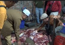 Polres Magetan Berhasil Ungkap Daging Sapi Gelonggongan, Terduga Pelaku Diamankan