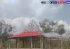 Proyek Pembangunan Pendopo Desa Sentul Purwodadi Anggarkan 250 Juta