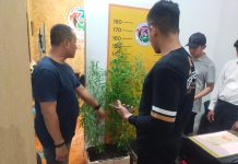 Sinergitas Polisi RW dan Pemkab Jember Sosialisasikan Bahaya Narkoba Hingga Tingkat Desa
