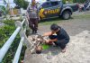 Mayat Tanpa Identitas Ditemukan Meninggal dipinggir jalan di Purwosari