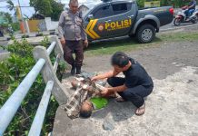 Mayat Tanpa Identitas Ditemukan Meninggal dipinggir jalan di Purwosari
