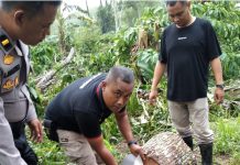 Langgar SOP Oknum Polhut dan Polmob Jember Di Sidang