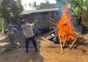 Polres Malang Bongkar Arena Sabung Ayam di Dua Lokasi