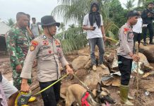 Polri Kerahkan 102 Personel dan Satu Anjing K9 Cari Korban Longsor di Kelurahan Rua, Ternate