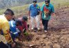 PJ Bupati Jayawijaya Tanam 1000 Bibit Pohon Alpukat di Kampung Iriliga
