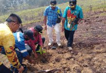 PJ Bupati Jayawijaya Tanam 1000 Bibit Pohon Alpukat di Kampung Iriliga